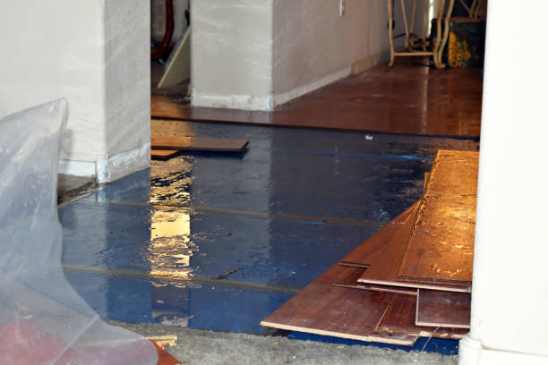 Professional Emergency Water Damage Restoration technician working in Osgood, IN